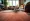 Master Nylon Carpet: Key Insights for Flooring Business Owners