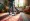 Build Your Carpet Clean Business: Essential Steps for Success